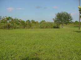  Residential Plot for Sale in Sikandra Rao, Hathras