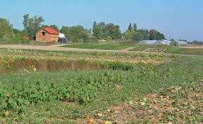  Residential Plot for Sale in Chetan Vihar, Vrindavan