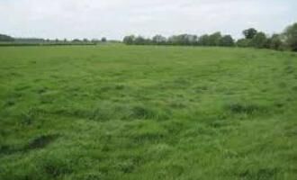  Residential Plot for Sale in Sotanala, Behror