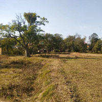  Commercial Land for Sale in Gagal airport, Dharamshala, Dharamshala