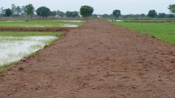  Agricultural Land for Sale in Kasaridih, Durg
