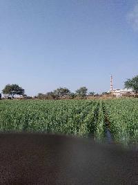 Agricultural Land for Sale in Murum, Osmanabad