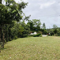  Residential Plot for Sale in Ranikhet, Almora