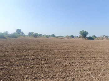  Agricultural Land for Sale in Jambusar, Bharuch