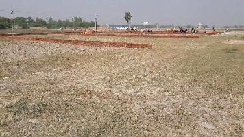  Agricultural Land for Sale in Bhilad, Valsad