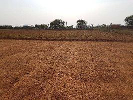  Industrial Land for Sale in Jalalpore, Navsari
