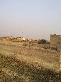  Agricultural Land for Rent in Pardi, Valsad