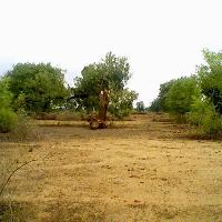  Agricultural Land for Sale in Chanod, Vapi