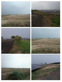  Agricultural Land for Sale in Khambhat, Anand