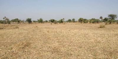  Agricultural Land for Sale in Dahej GIDC, Bharuch