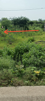 3.25 Acre Agricultural Land for Sale in Naya Raipur, Raipur