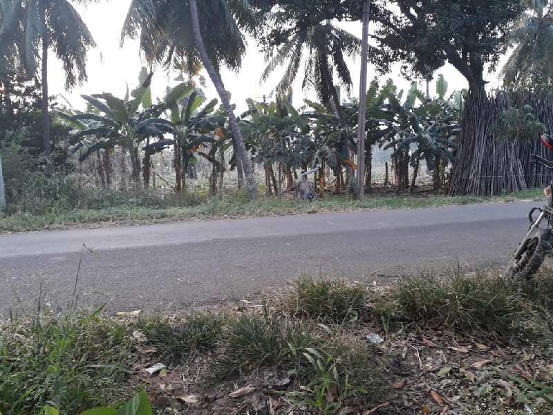 Industrial Land 1 Ares for Sale in Tanuku, West Godavari