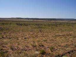  Agricultural Land for Rent in Karmala, Solapur