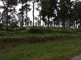  Residential Plot for Sale in Habra, North 24 Parganas