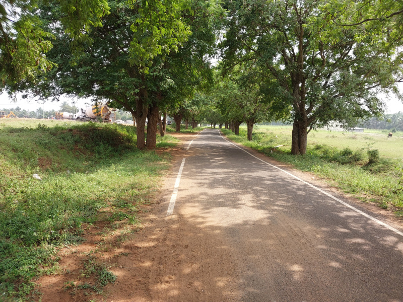  Residential Plot 3 Cent for Sale in Kinathukadavu, Coimbatore