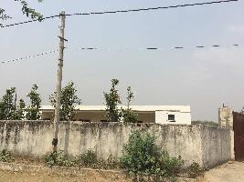  Agricultural Land for Rent in Chattarpur, Delhi