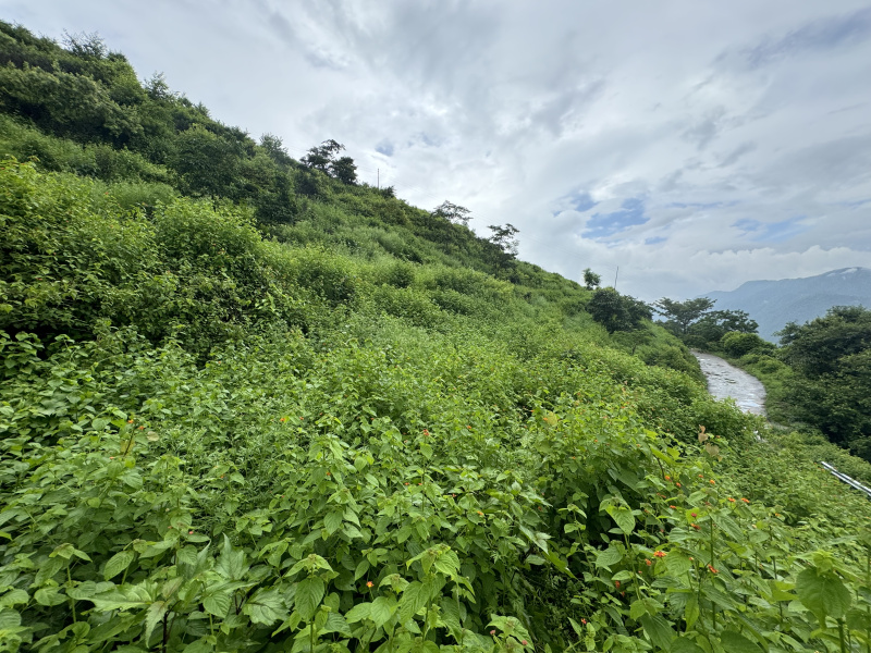  Agricultural Land 1500 Sq. Yards for Sale in Neelkanth Road, Rishikesh