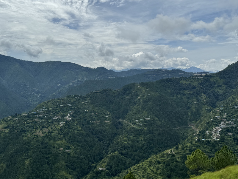  Agricultural Land 50 Acre for Sale in Chamba, Tehri Garhwal