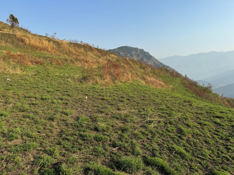  Agricultural Land 25 Acre for Sale in Tehri, Tehri Garhwal
