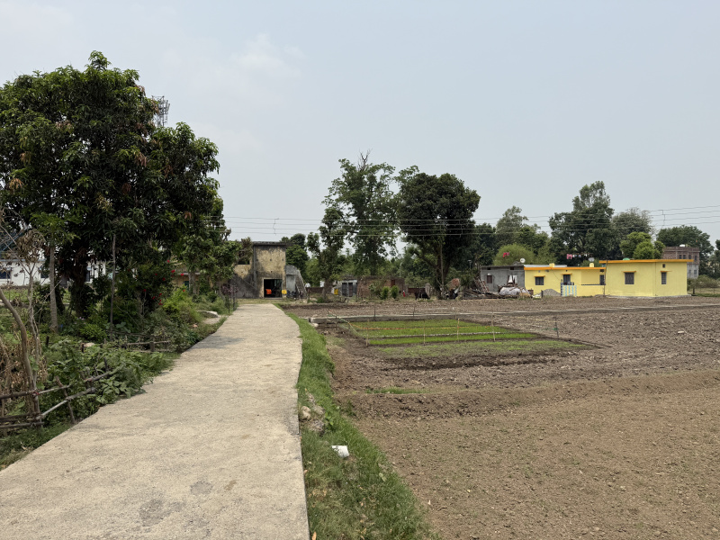  Agricultural Land 840 Sq. Yards for Sale in Barrage Colony, Rishikesh