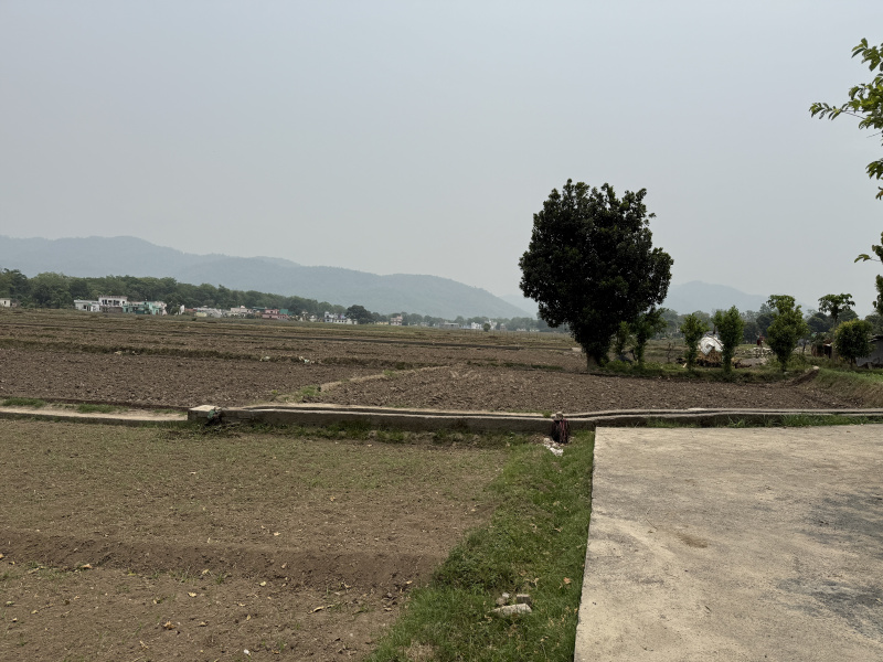  Agricultural Land 840 Sq. Yards for Sale in Barrage Colony, Rishikesh
