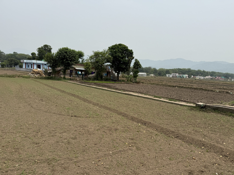  Agricultural Land 840 Sq. Yards for Sale in Barrage Colony, Rishikesh