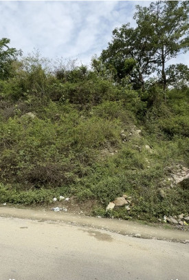  Agricultural Land 4320 Sq.ft. for Sale in Neelkanth Road, Rishikesh