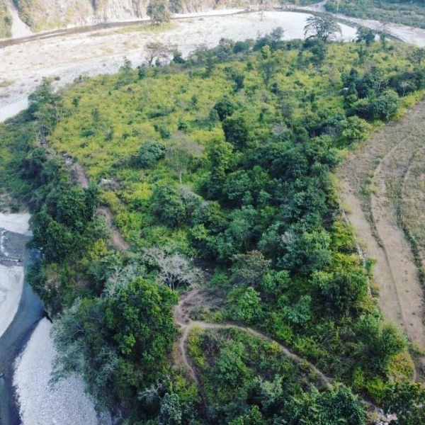  Agricultural Land 3 Acre for Sale in Shivpuri, Rishikesh