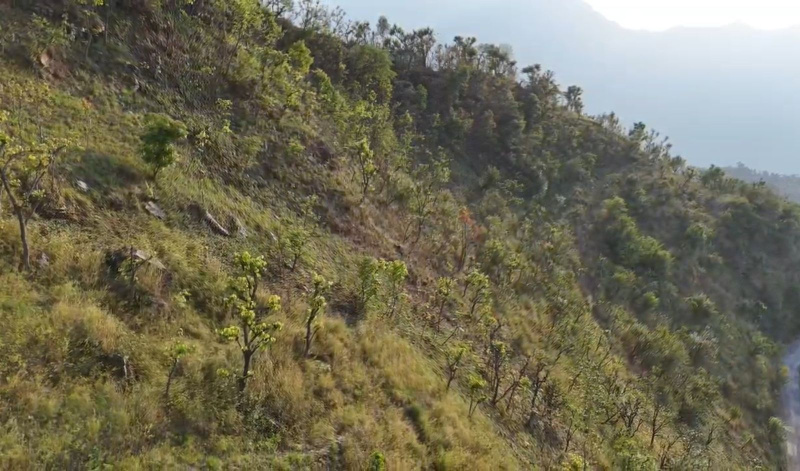  8640 Sq. Yards Agricultural/Farm Land for Sale in Tehri, Tehri Garhwal