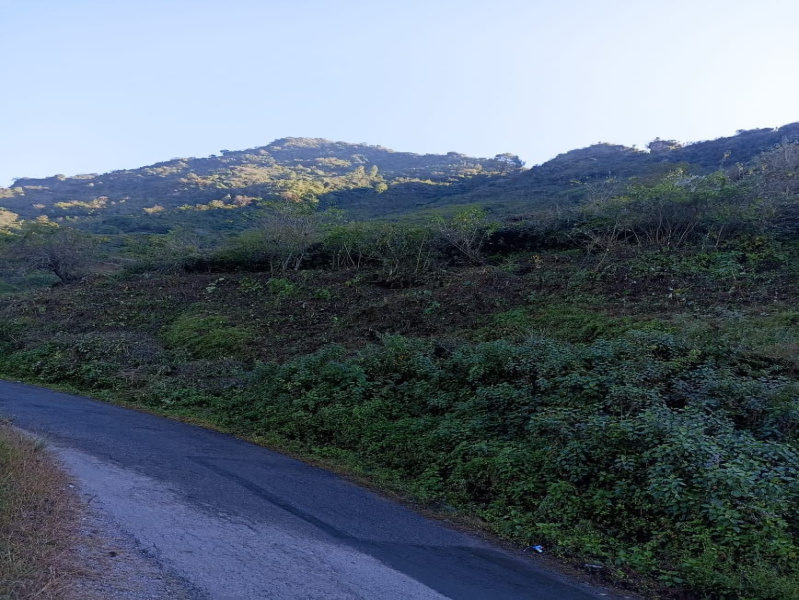  8640 Sq. Yards Agricultural/Farm Land for Sale in Tehri, Tehri Garhwal