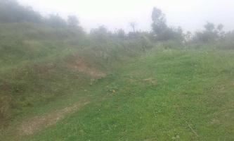  Agricultural Land for Sale in Neelkanth Road, Rishikesh