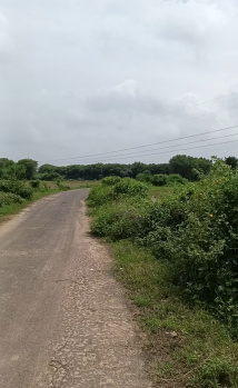  Agricultural Land for Sale in Pethapur, Gandhinagar