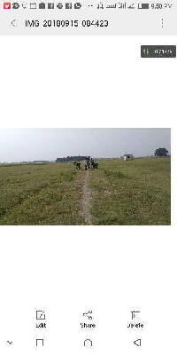  Residential Plot for Sale in Maghar Road, Gorakhpur, Gorakhpur
