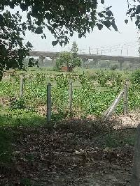  Agricultural Land for Sale in Tigaon, Faridabad