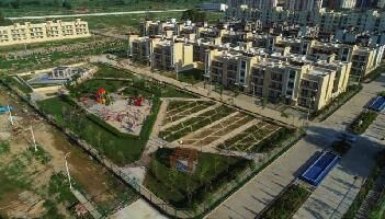 3 BHK Builder Floor for Sale in BPTP, Faridabad
