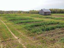  Residential Plot for Sale in Alibag, Raigad