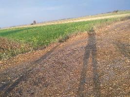  Agricultural Land for Sale in Chakia, Chandauli