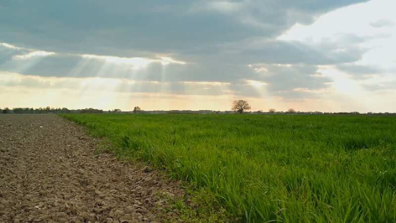  Agricultural Land 1360 Sq.ft. for Sale in Chandauli, Mughalsarai