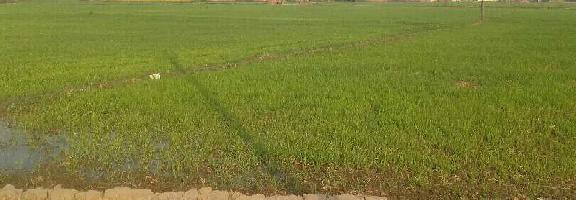  Agricultural Land for Sale in Mughalsarai, Chandauli