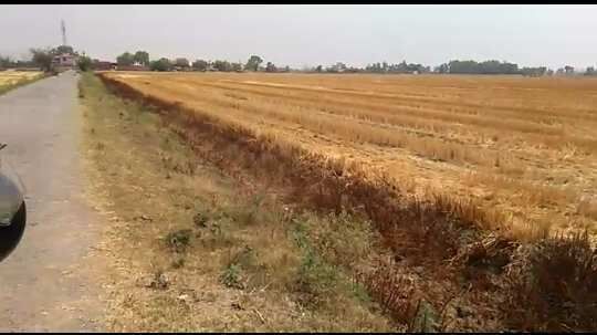  Agricultural Land 30 Bigha for Sale in Chandauli, Mughalsarai
