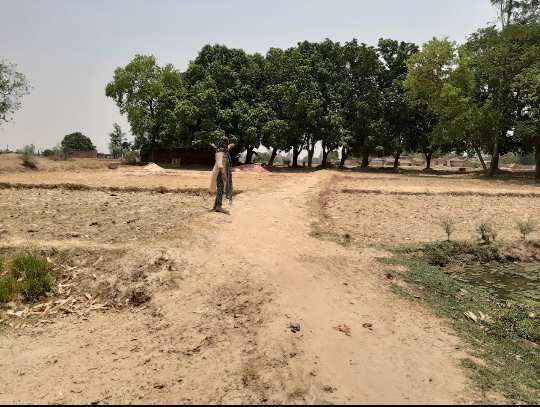  Residential Plot 1360 Sq.ft. for Sale in Chakia, Chandauli