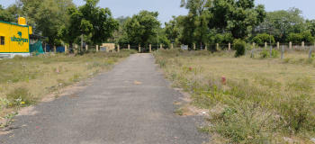  Residential Plot for Sale in Kalavai, Vellore