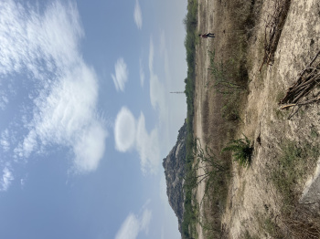  Agricultural Land for Sale in Malpura, Tonk