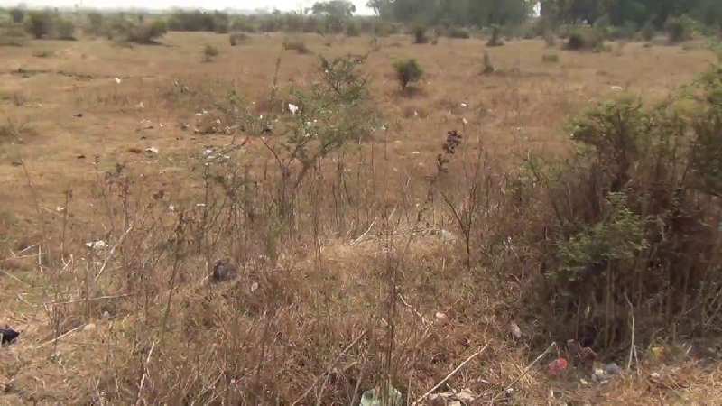 Commercial Land 116 Sq. Yards for Sale in