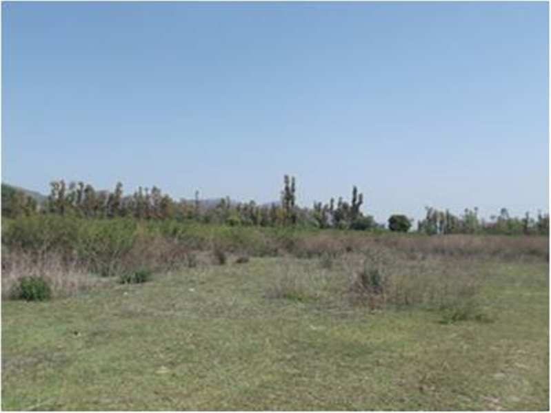 Commercial Land 120 Sq. Yards for Sale in