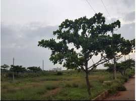  Residential Plot for Sale in Devanahalli, Bangalore