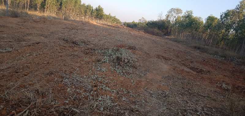 Agricultural Land 1 Acre for Sale in Nelamangala, Bangalore