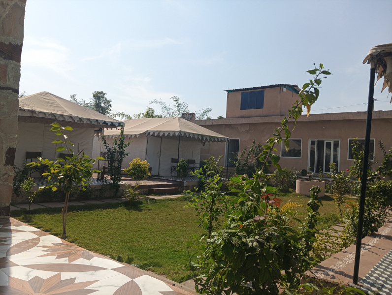  Residential Plot 1300 Sq. Meter for Sale in Ranthambhore National Park, Sawai Madhopur