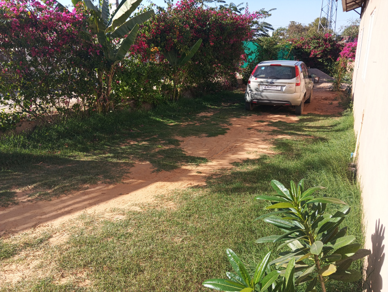  Residential Plot 1300 Sq. Meter for Sale in Ranthambhore National Park, Sawai Madhopur