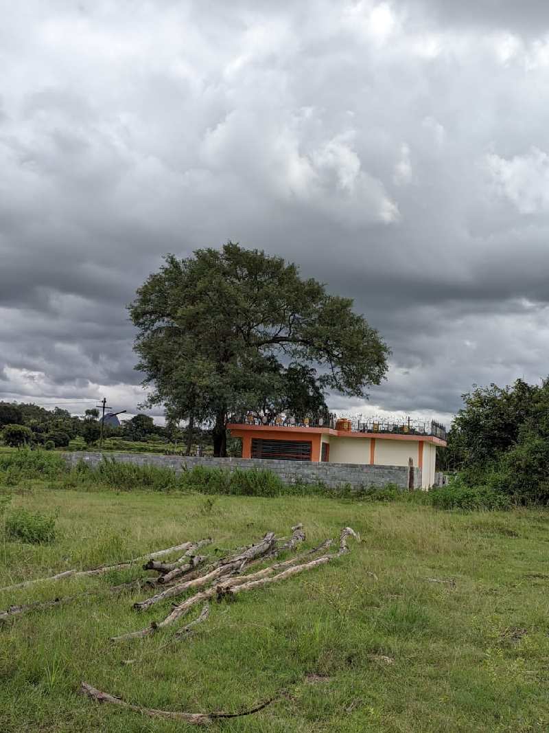 57000 Sq.ft. Industrial Land for Sale in Koratagere, Tumkur (REI1077301)